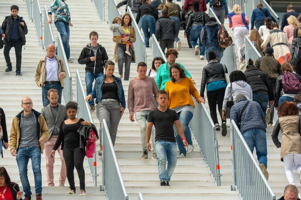 Dosage de chanvre pour chien : conseils pour bien doser