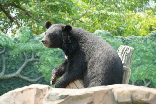 Règles de confidentialité et de sécurité pour les employés dans le domaine du traitement médical