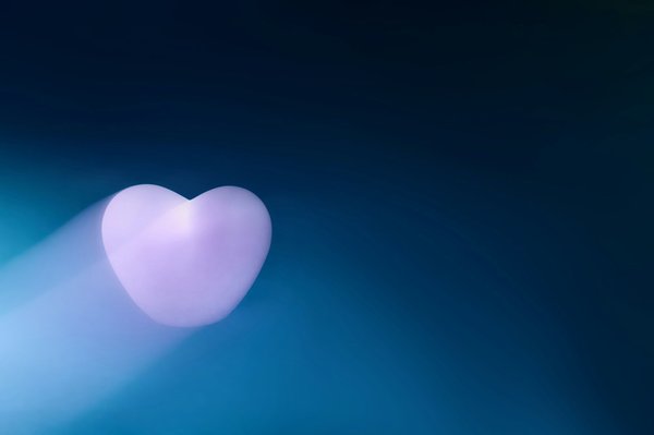 Focus sur l'exposition XX (à venir) : un aperçu exclusif